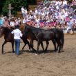 Lionsausflug 04.07.13 008.JPG