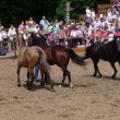 Lionsausflug 04.07.13 007.JPG